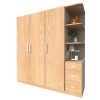 Mẫu tủ quần áo hiện đại phong cách sang trọng- Vietkit Home