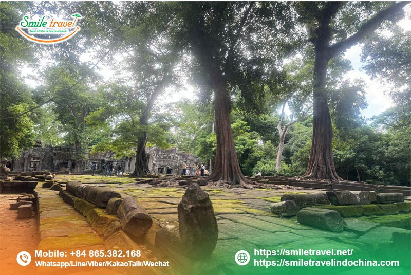 Ta-prohm-temple-Angkor-wat-cambodia-smiletravel